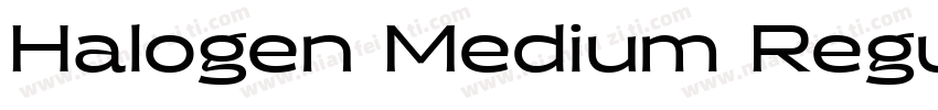 Halogen Medium Regu字体转换